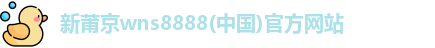 新莆京wns8888